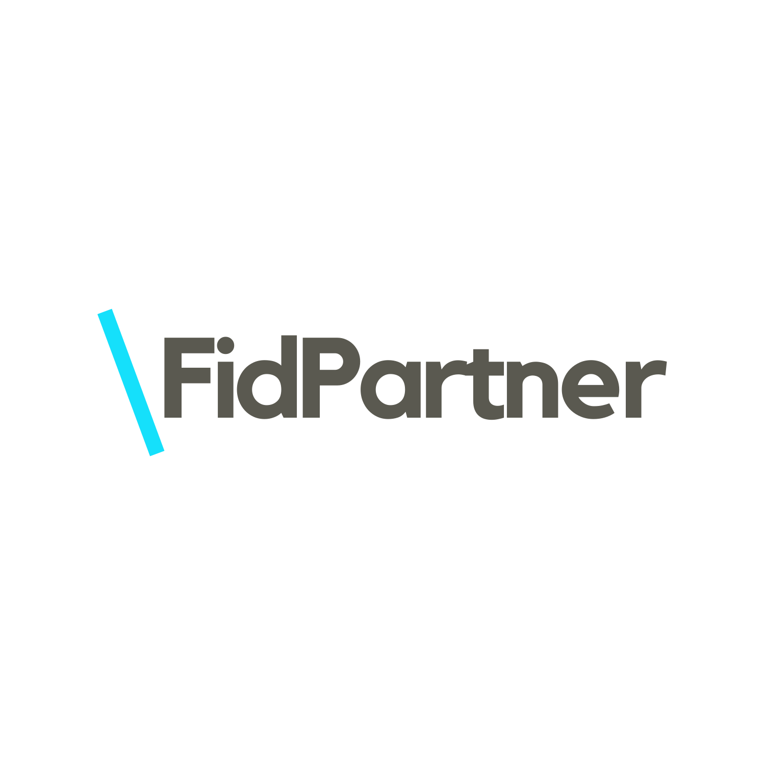 Logo FIDPARTNER SRL